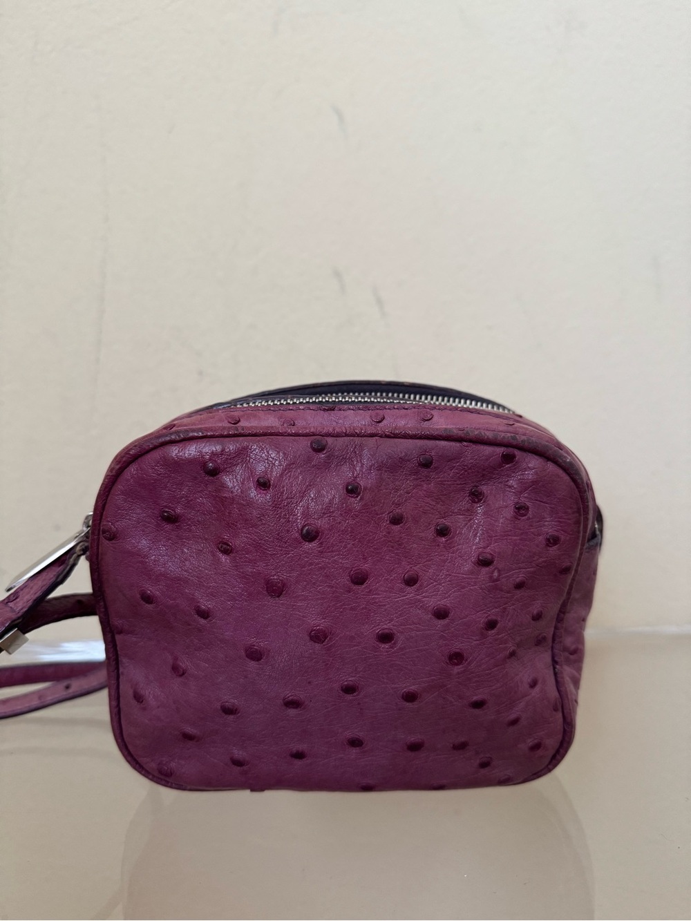The Row Ostrich Mini Twin Two Zip Crossbody Bag Purple Exotic Lizard Leather
